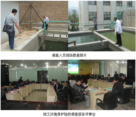 灵宝市东方矿业有限责任公司300t/d选金尾矿多金属综合回收项目竣工环保验收调查报告