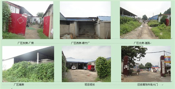 图片6